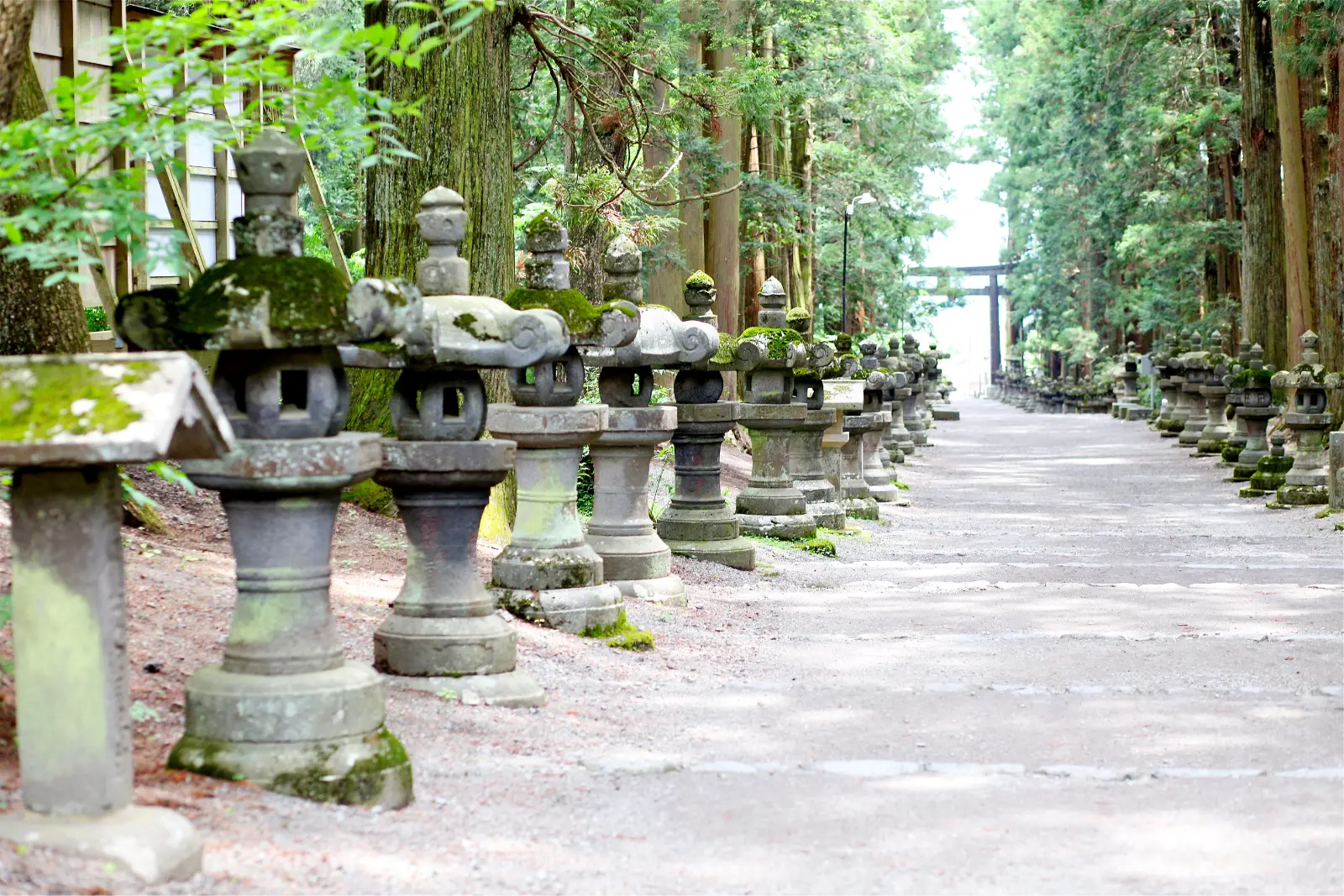北口本宮冨士浅間神社 2