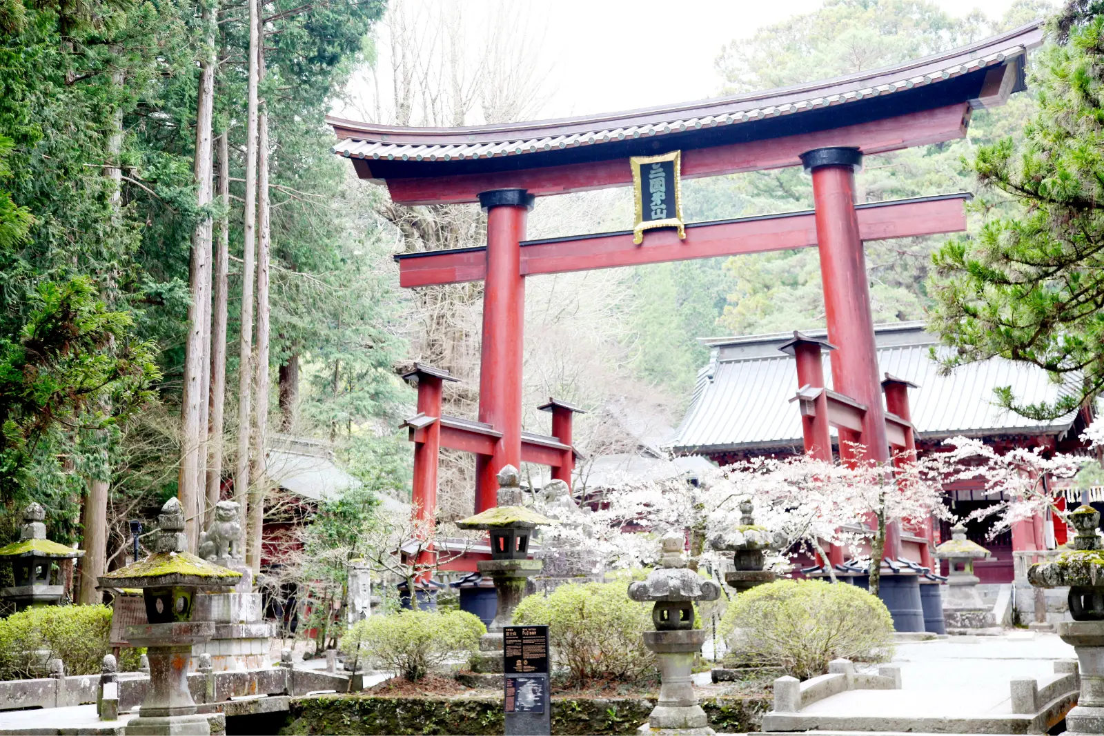 北口本宮冨士浅間神社 5
