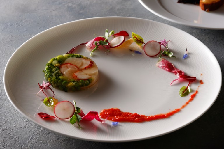 無料ランチ試食